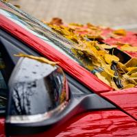 red car with leaves on hood in fall